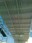 4
Image00004.jpg (450 x 600)
54279 byte (53.01 KiB)